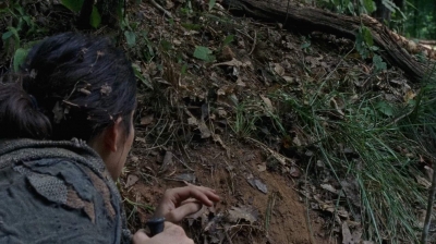 twd0706-2387.jpg