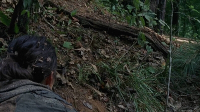 twd0706-2390.jpg