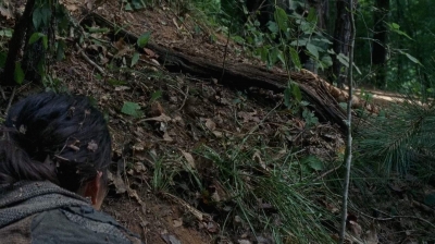 twd0706-2392.jpg