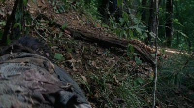 twd0706-2395.jpg