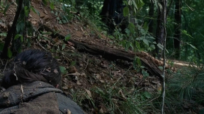 twd0706-2396.jpg