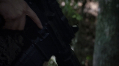 twd0706-2401.jpg