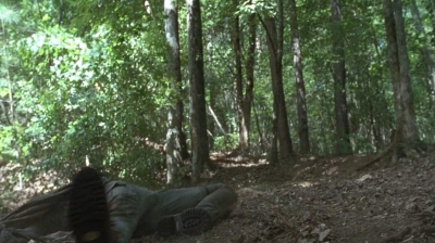 twd0706-2409.jpg