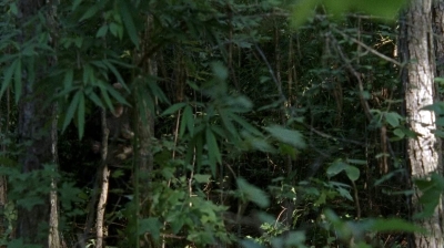 twd0706-2560.jpg