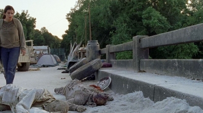 twd0706-2946.jpg