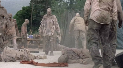 twd0706-2956.jpg