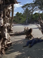 twd0706-0519.jpg