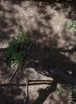 twd0706-0673.jpg