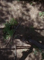 twd0706-0677.jpg