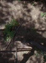twd0706-0678.jpg