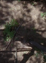 twd0706-0679.jpg