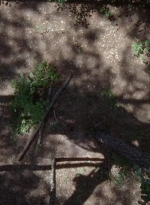 twd0706-0682.jpg