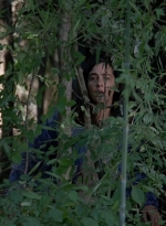 twd0706-0847.jpg