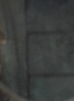 twd0706-0935.jpg