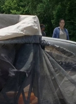 twd0706-1193.jpg