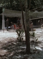 twd0706-2252.jpg