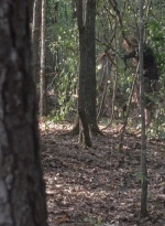 twd0706-2348.jpg