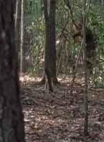 twd0706-2350.jpg