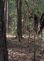 twd0706-2351.jpg