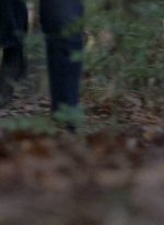 twd0706-2354.jpg