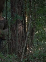 twd0706-2356.jpg