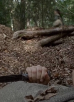 twd0706-2366.jpg
