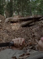 twd0706-2369.jpg