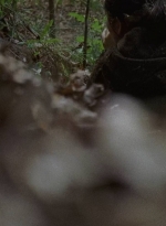 twd0706-2384.jpg