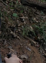 twd0706-2388.jpg