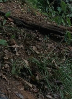 twd0706-2391.jpg