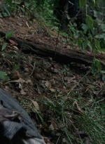 twd0706-2395.jpg