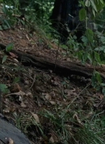 twd0706-2396.jpg