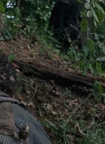 twd0706-2397.jpg