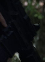 twd0706-2401.jpg