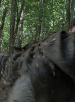 twd0706-2407.jpg