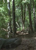 twd0706-2409.jpg
