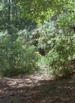twd0706-2415.jpg