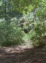 twd0706-2422.jpg