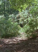 twd0706-2427.jpg