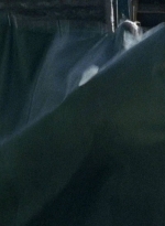 twd0706-2868.jpg