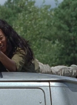 twd0706-2930.jpg