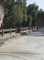 twd0706-2937.jpg