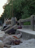 twd0706-2944.jpg