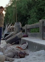 twd0706-2949.jpg