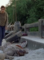 twd0706-2950.jpg