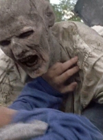 twd0706-2955.jpg