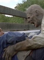 twd0706-2959.jpg