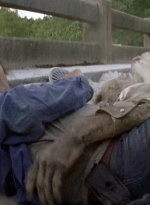 twd0706-2960.jpg