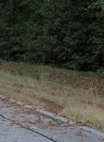 twd0706-3078.jpg