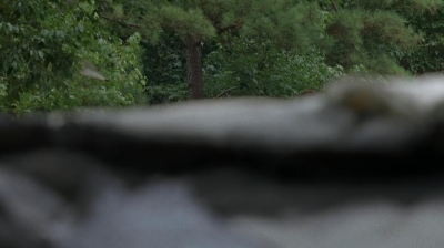 twd0707-0004.jpg